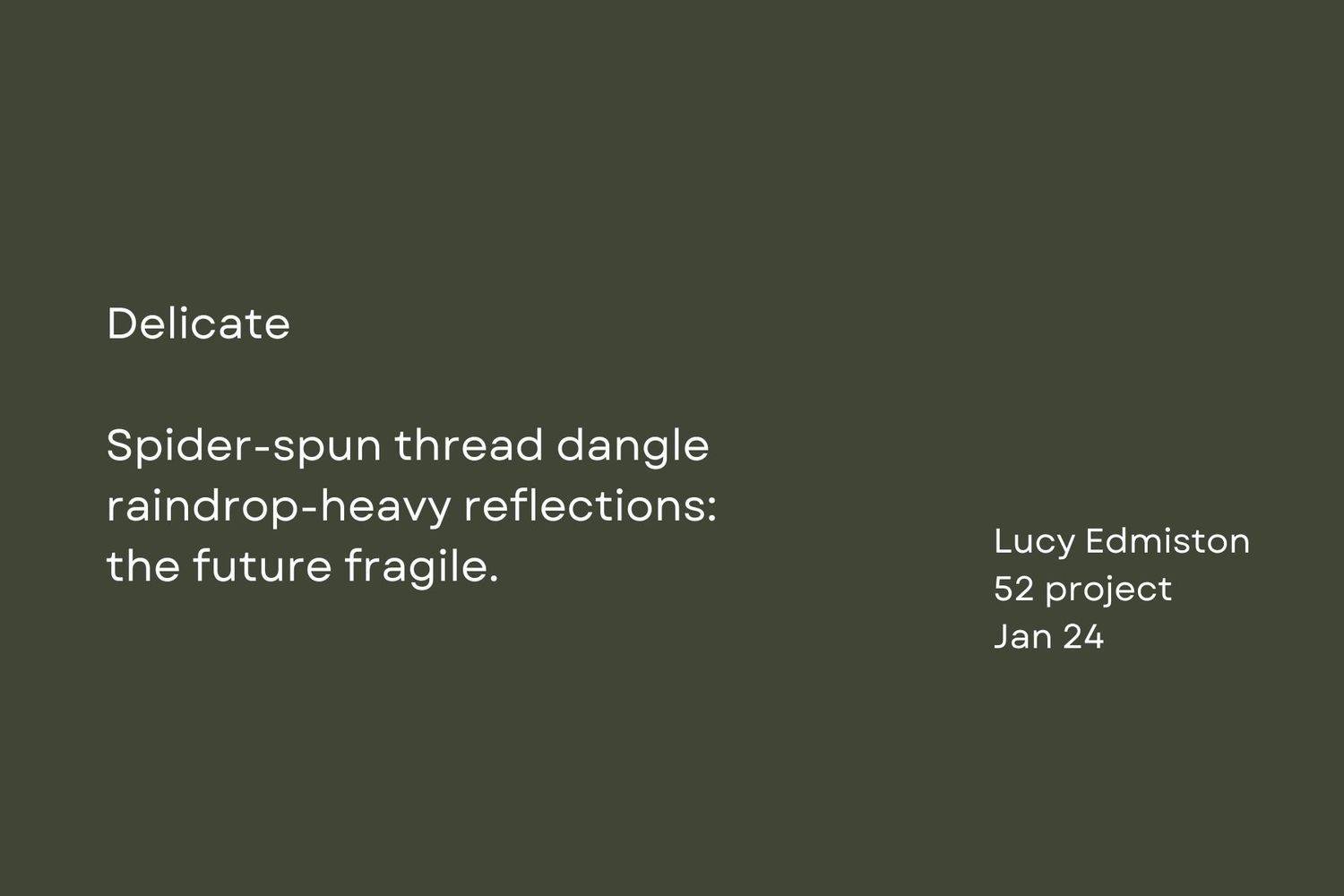 Poetic text about delicate spider webs overlaid on sage green background.