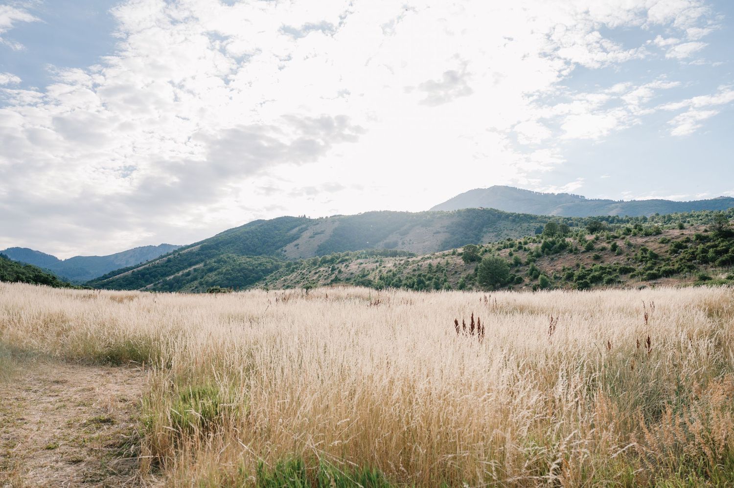 Rolling hills and mountains rise behind a golden field of dry grass under a partly cloudy sky in a serene landscape.