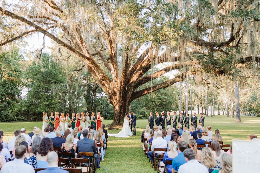 Wedding ceremony attendees gather beneath a large oak tree draped with Spanish moss on a sunny afternoon in a park setting.