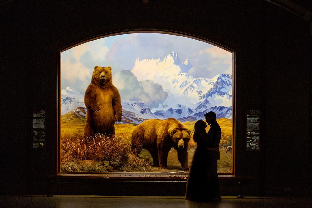 Museum visitors observe large wildlife paintings of grizzly bears in a dimly lit gallery exhibition space.