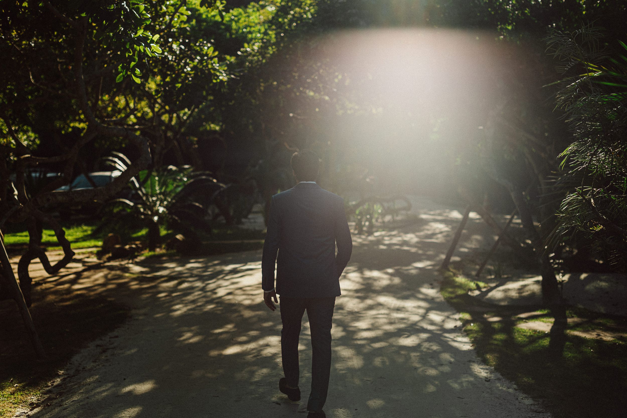 A silhouetted figure walks along a sunlit garden path surrounded by lush greenery and dappled shadows.