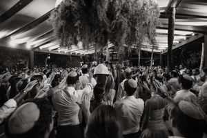 Black and white photo showing an enthusiastic concert crowd with raised hands watching a performance under a covered venue.