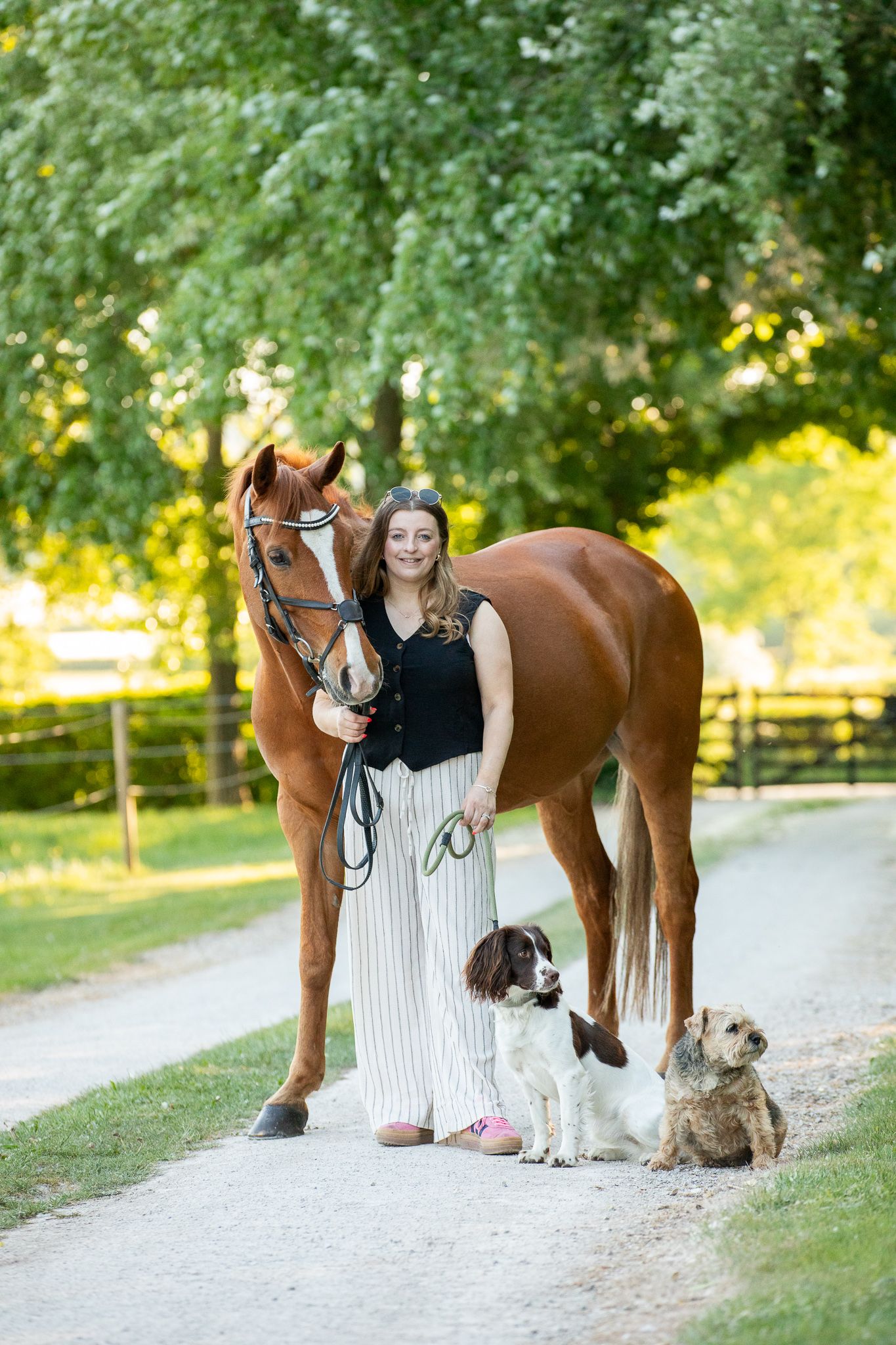 A large cream-colored draft horse and its companion pause together in a sunlit autumn forest.