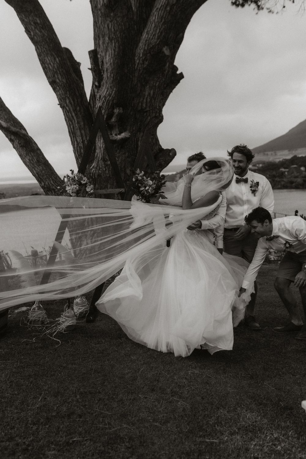 Black and white wedding photo with flowing veil caught in wind under large tree.