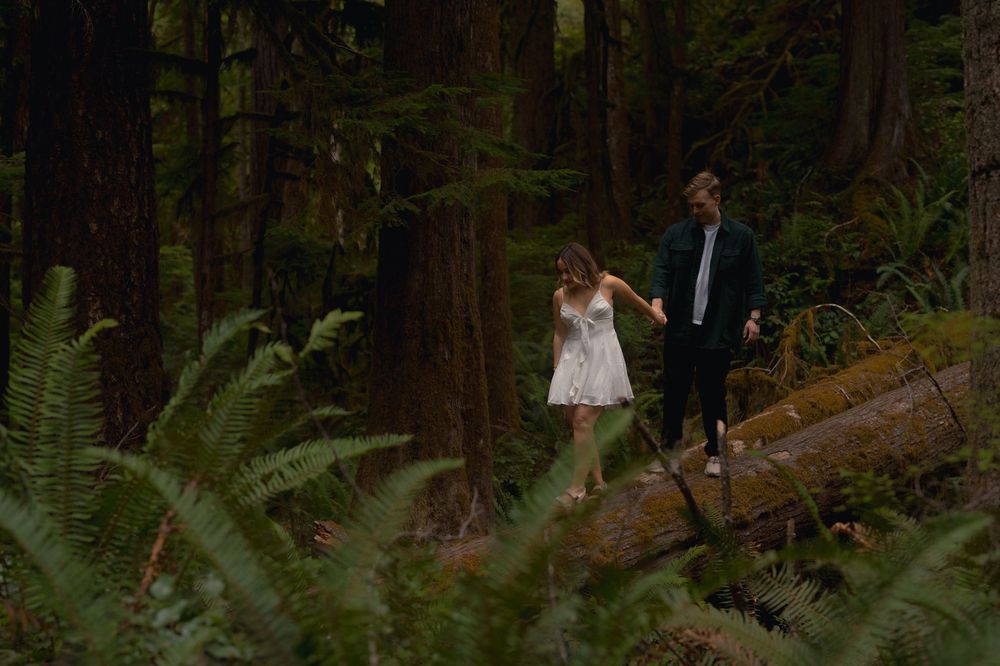 Two people walk together along a forest trail surrounded by tall redwood trees and lush green ferns.