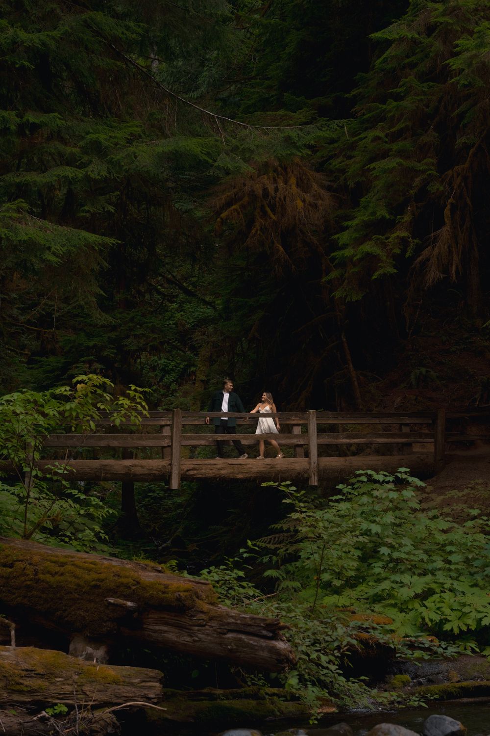 Two people stand on a wooden footbridge surrounded by lush forest and ferns in a moody, dark setting.
