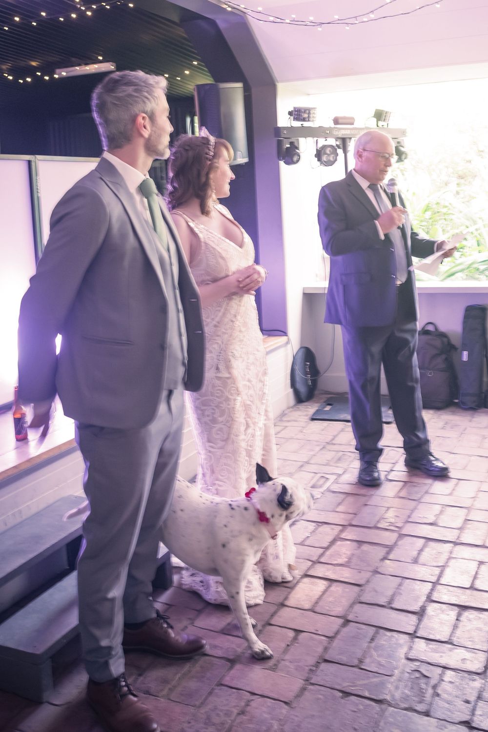 Wedding party stands on brick patio under string lights with small white dog at their side during celebration.