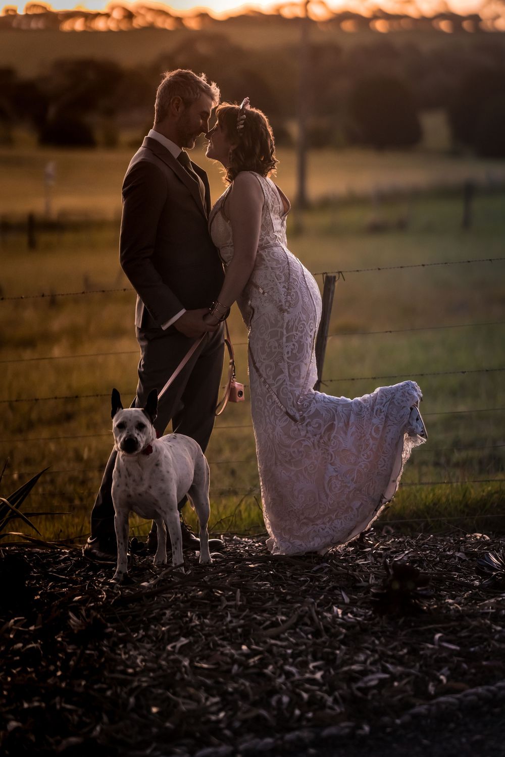 A couple and their dog sit together on fallen leaves at sunset creating a romantic silhouette against the warm sky.