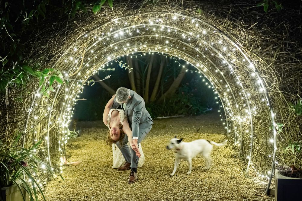 Couple stands beneath illuminated fairy light arch in garden at night with white dog walking nearby.