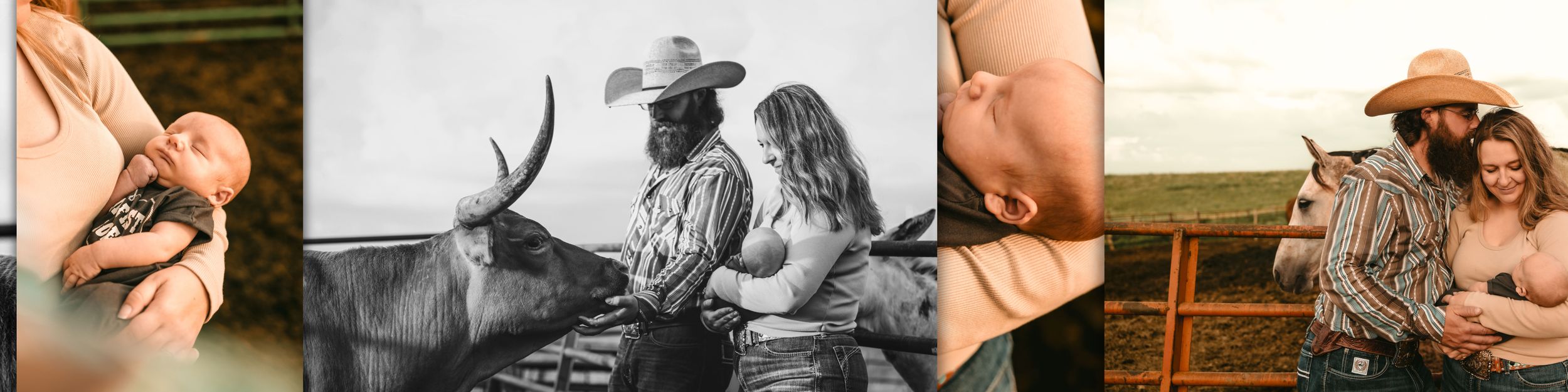 A collection of ranch lifestyle images showing horses, farming activities and cowboy scenes in a horizontal banner.
