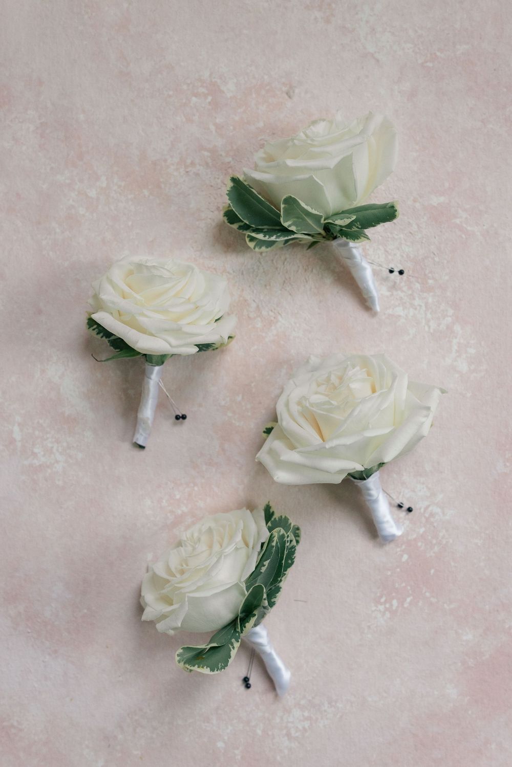 Biltmore estate wedding photographer