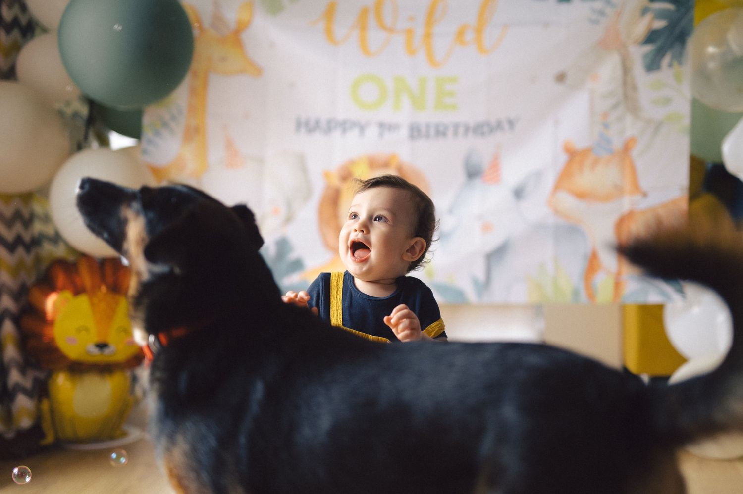 A festive first birthday party setup with gold and blue balloons, banners and decorations against a white background.