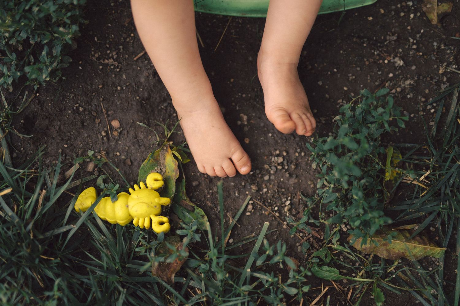 Small bare feet on dark soil next to yellow dandelion flowers and green plants in a garden.