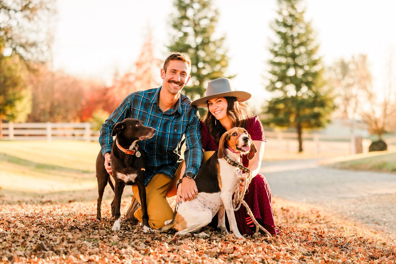 Two dogs and their owners pose together in a park during autumn with fallen leaves on the ground.