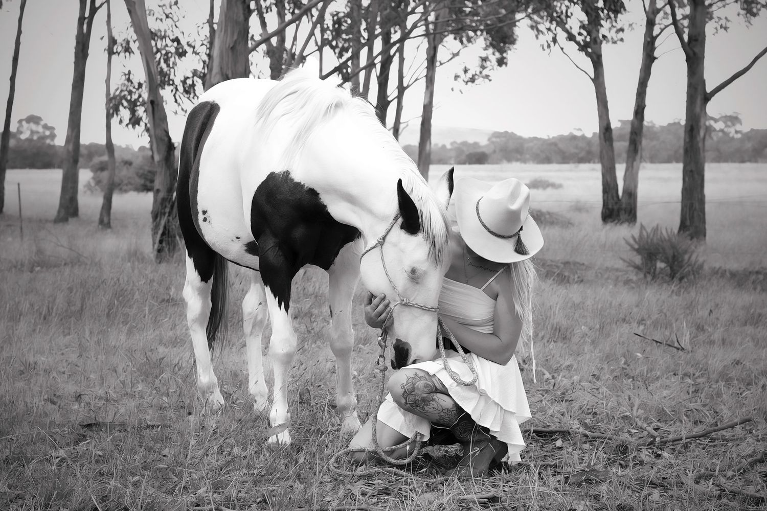 End of Life Horse Photography