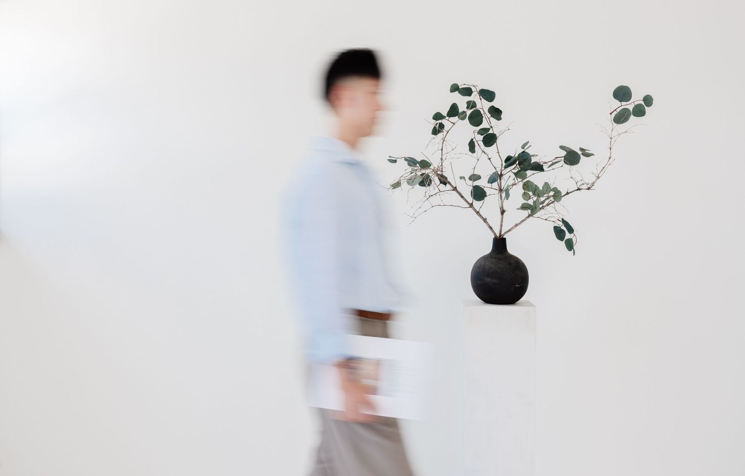 Blurred silhouette of person standing near potted plant in minimalist white interior.