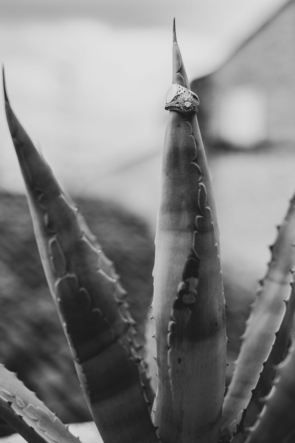 wedding rings black and white