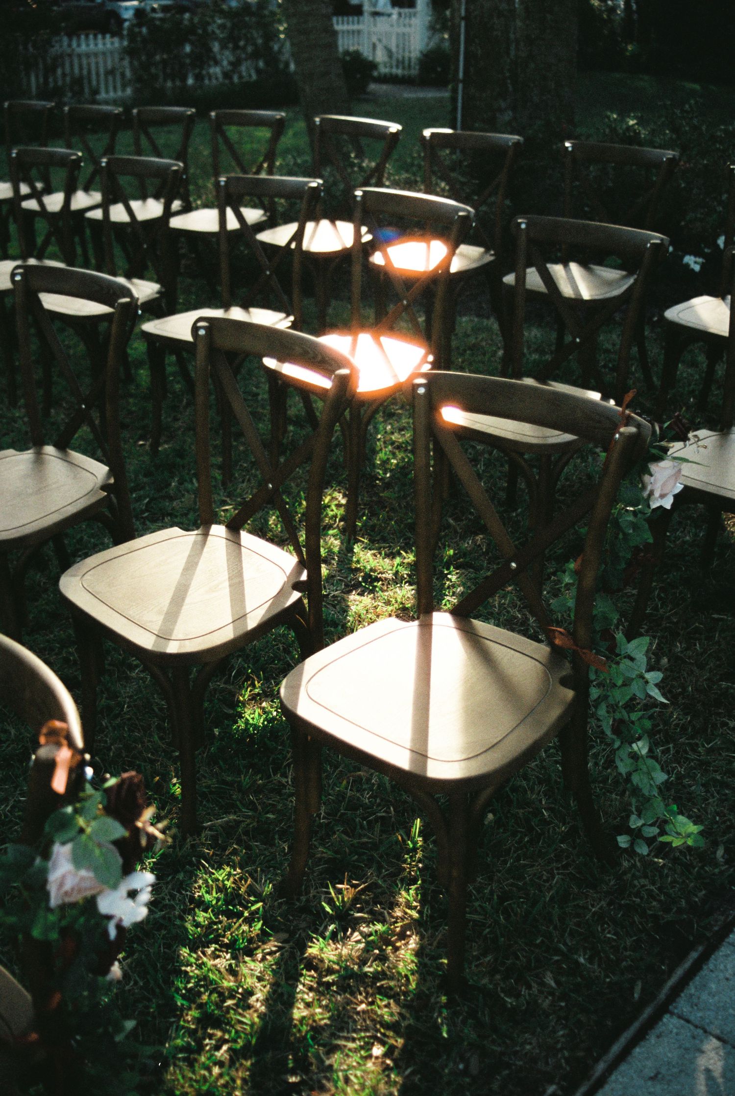 Sunlight illuminates wooden chairs with white cushions arranged in rows for an outdoor garden ceremony.