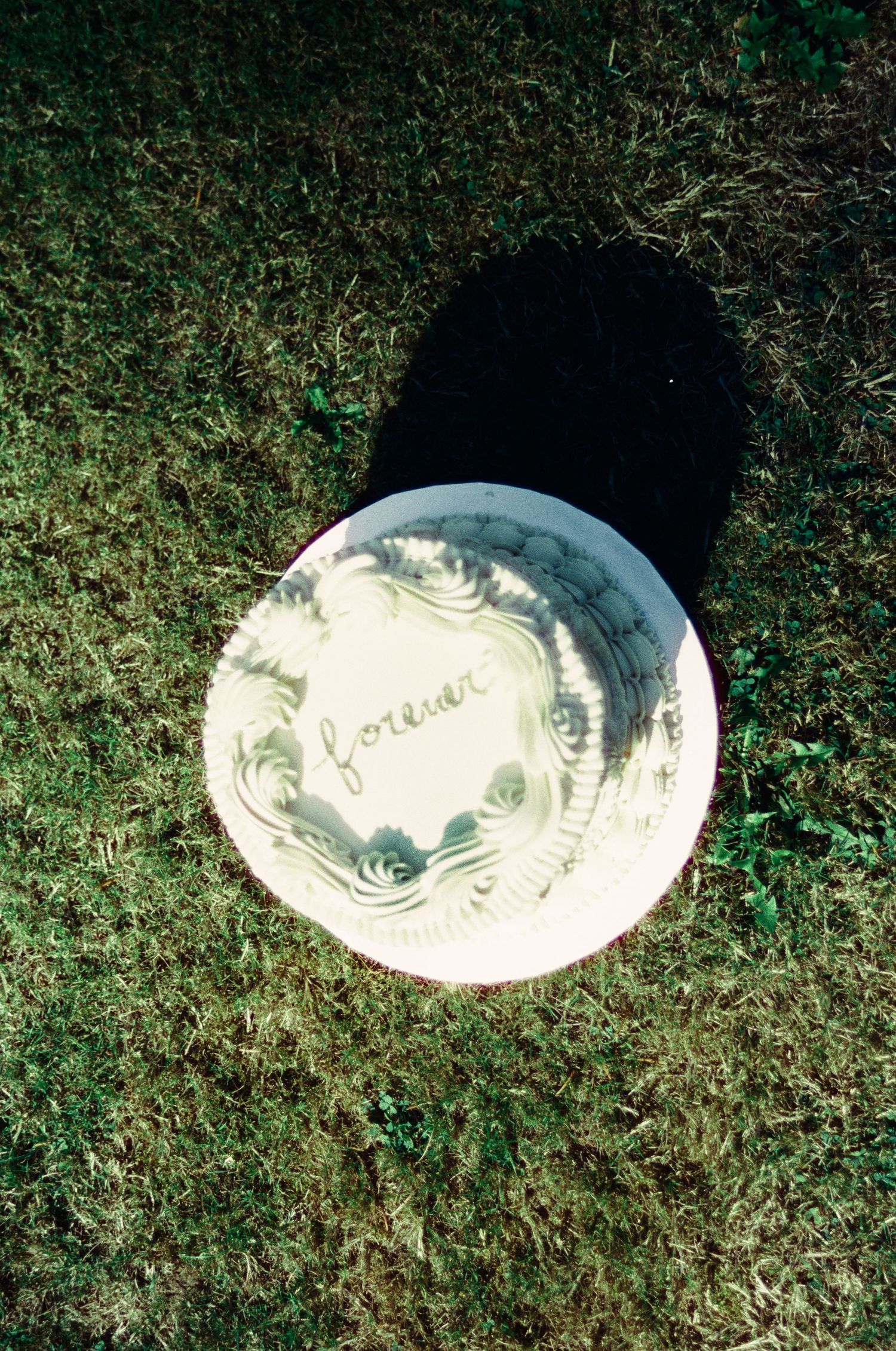White ceramic plates with decorative patterns cast shadows on grass in a sequential arrangement.