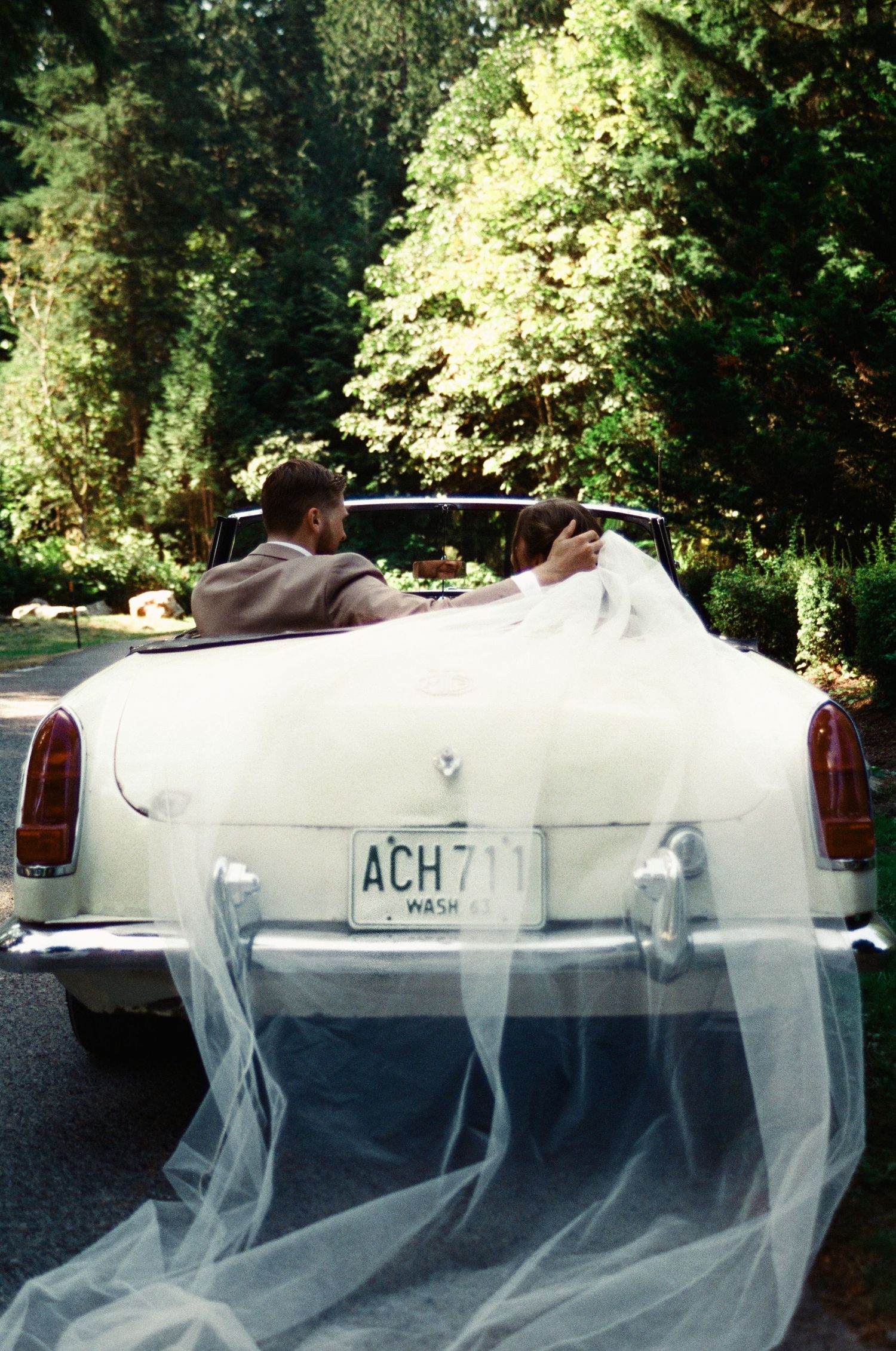 Multiple exposure photograph showing ghostly white car silhouettes against a sunlit forest backdrop.