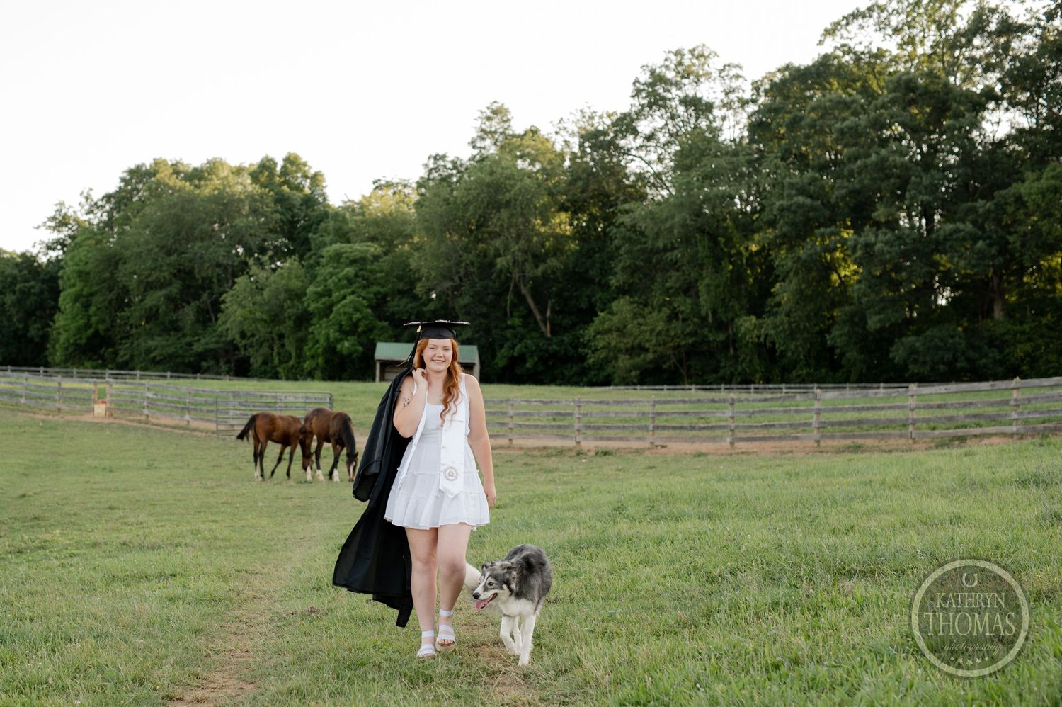 Graduate in white dress poses in field with dog while horses graze in background at sunset.