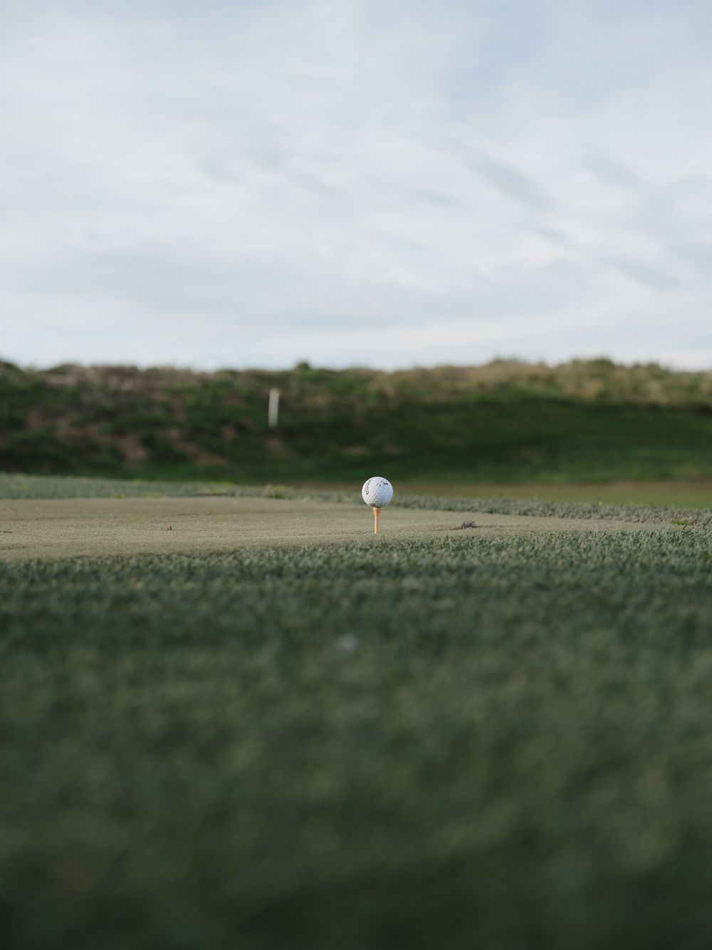 A golf ball sits on short grass with shallow depth of field on a golf course.