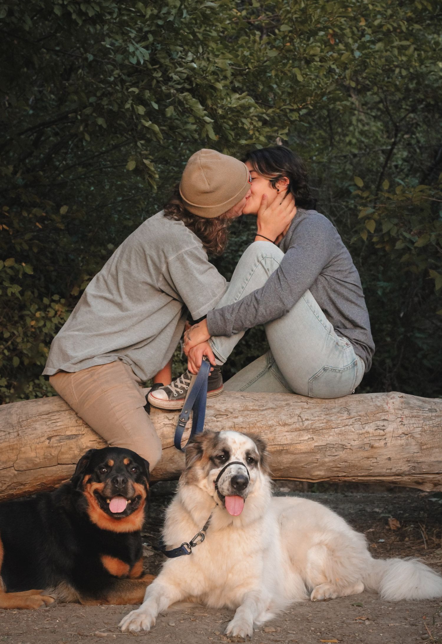 Couples photography, family photography, dog photography, in Provo UT, Utah County, by Utah County photographer