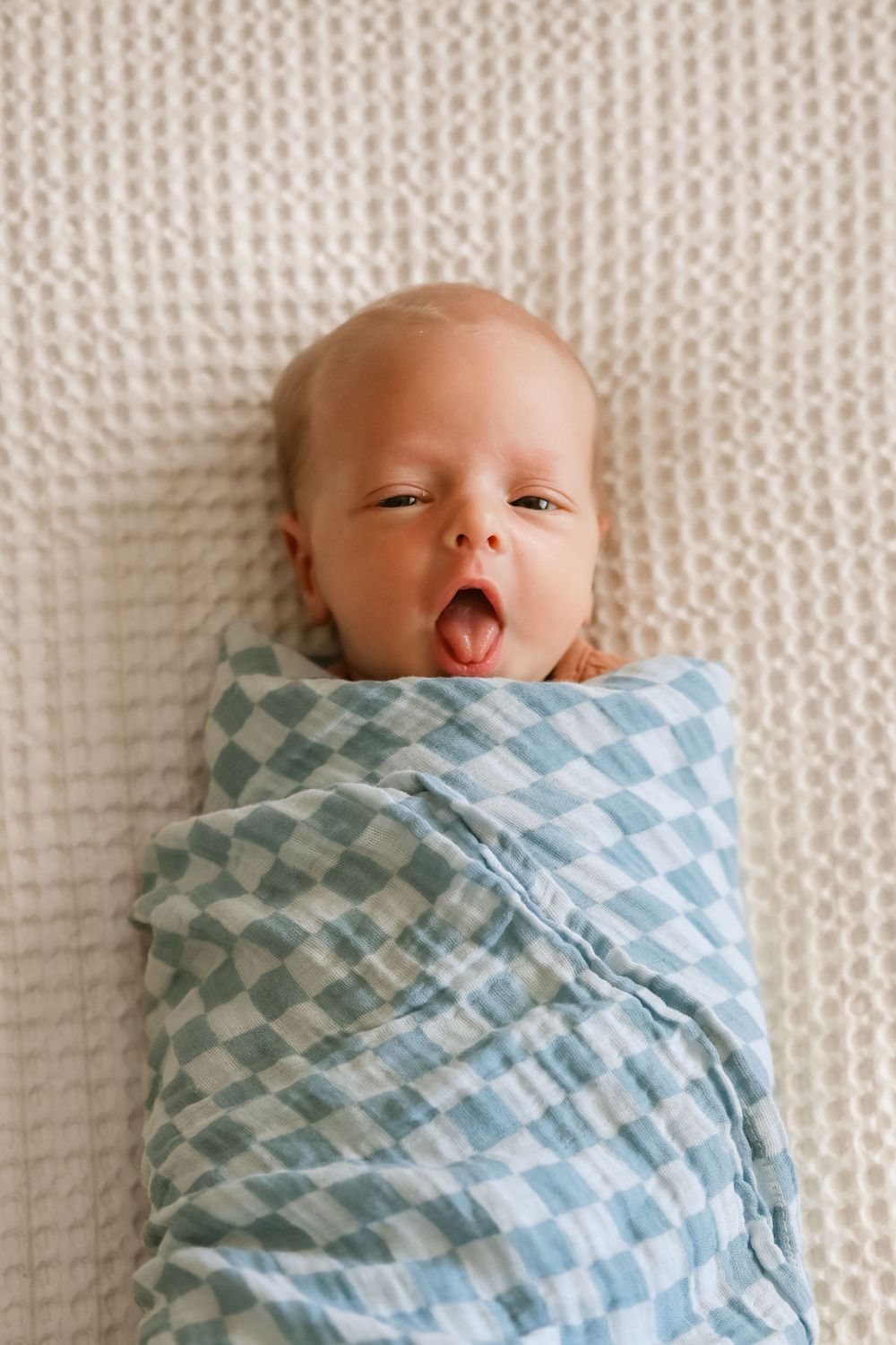 Adorable newborn baby swaddled in blue checkered muslin blanket sticking tongue out on white textured surface.