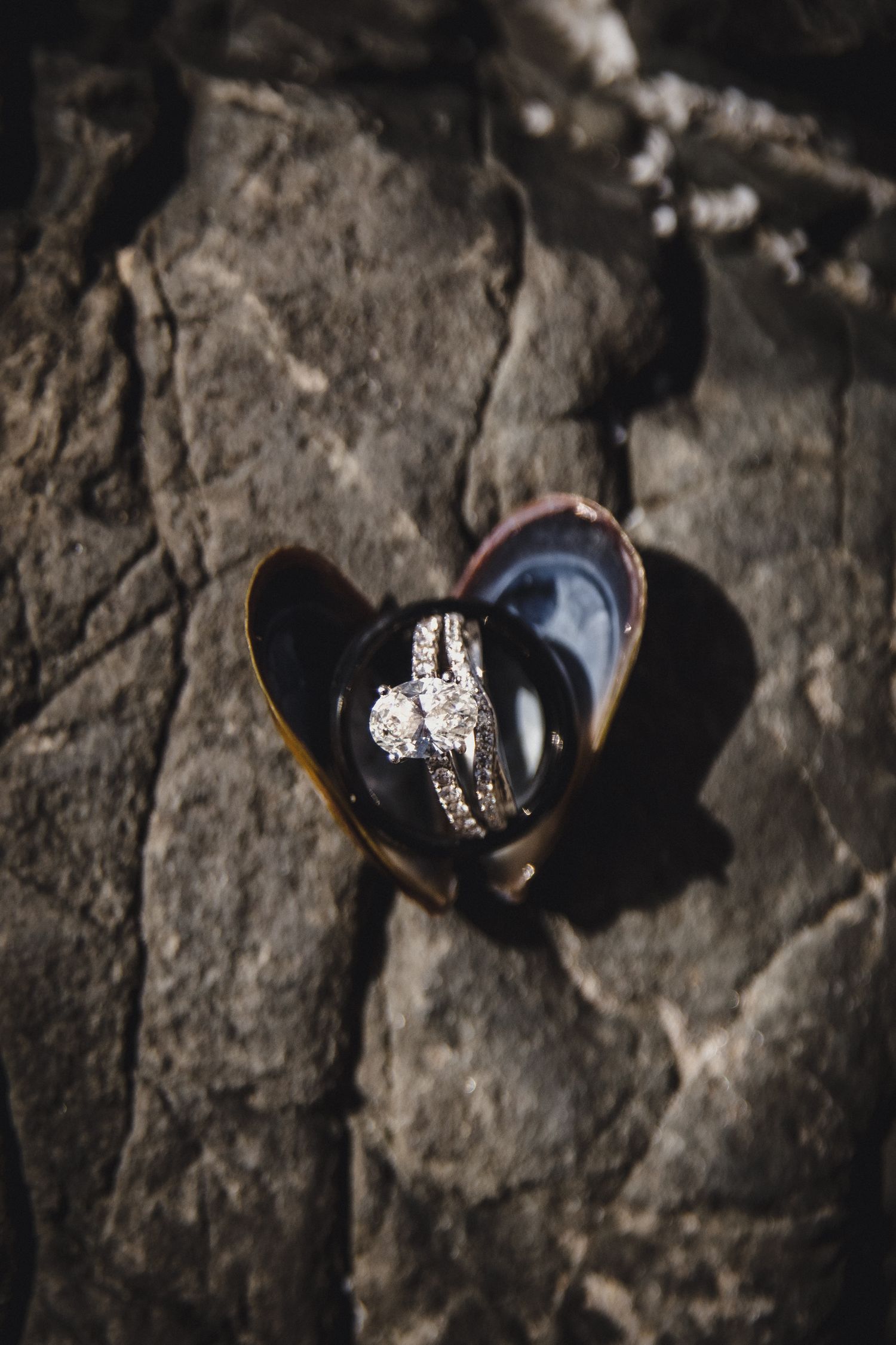 Diamond engagement ring displayed inside an open mussel shell resting on a rocky surface.