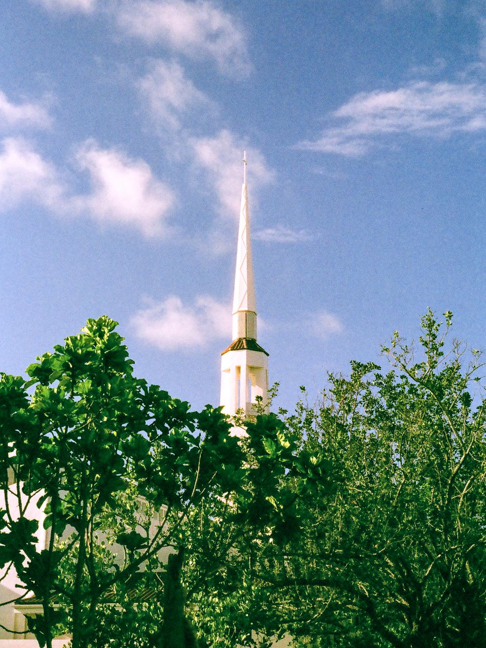 White church steeple rising above lush green trees against a blue sky with scattered clouds.