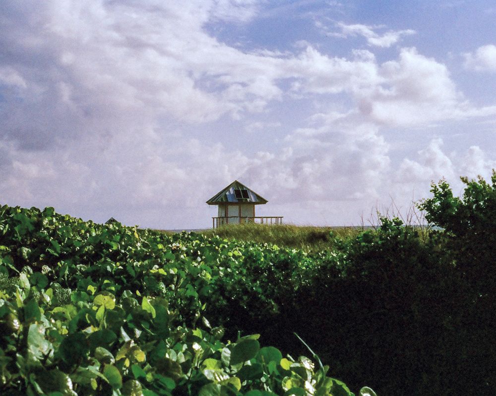 A small wooden gazebo rises above lush green tropical foliage under a partly cloudy blue sky.