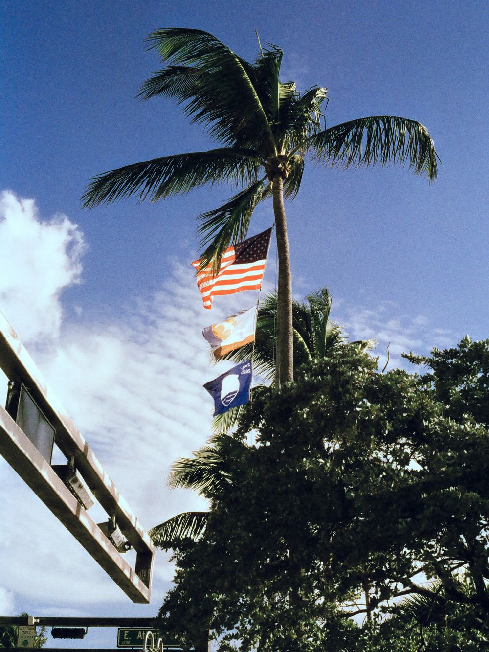 American and state flags waving in the wind beside a tall palm tree against a blue cloudy sky.