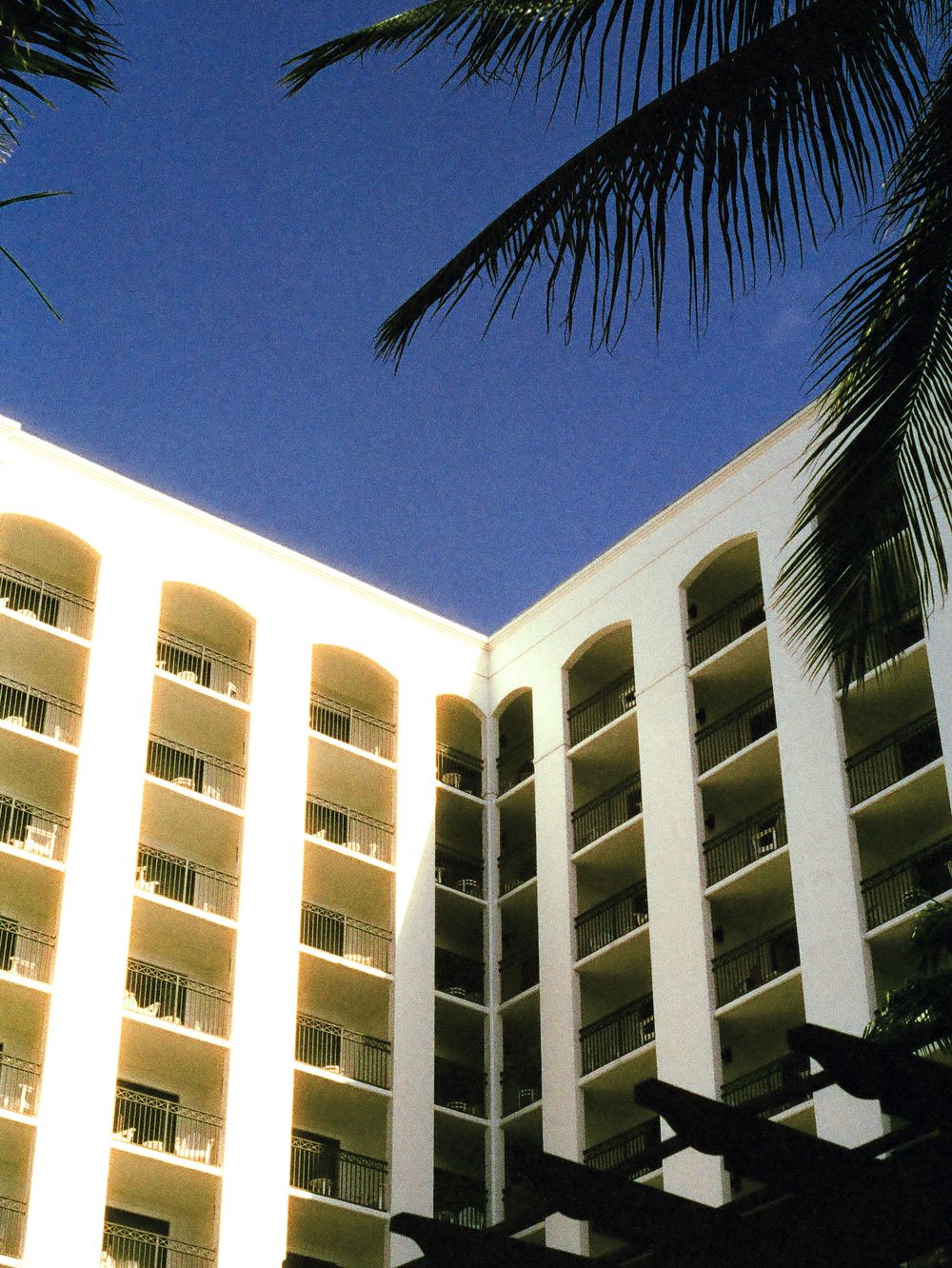 Luxury white hotel building with multiple balconies framed by tropical palm trees against a deep blue sky.