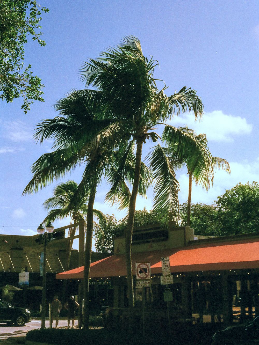 Tall palm trees swaying in the breeze above a tropical shopping center with red awnings.