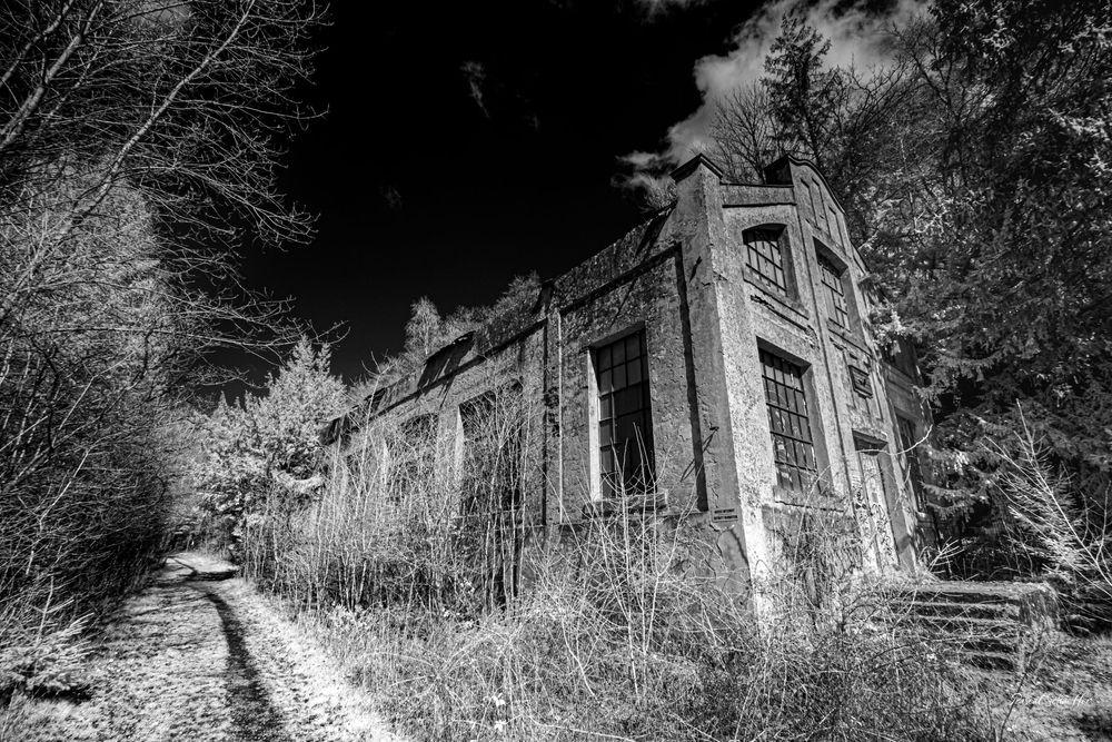 Eerie black and white infrared photo of an abandoned brick building overgrown with vegetation along a dirt path.