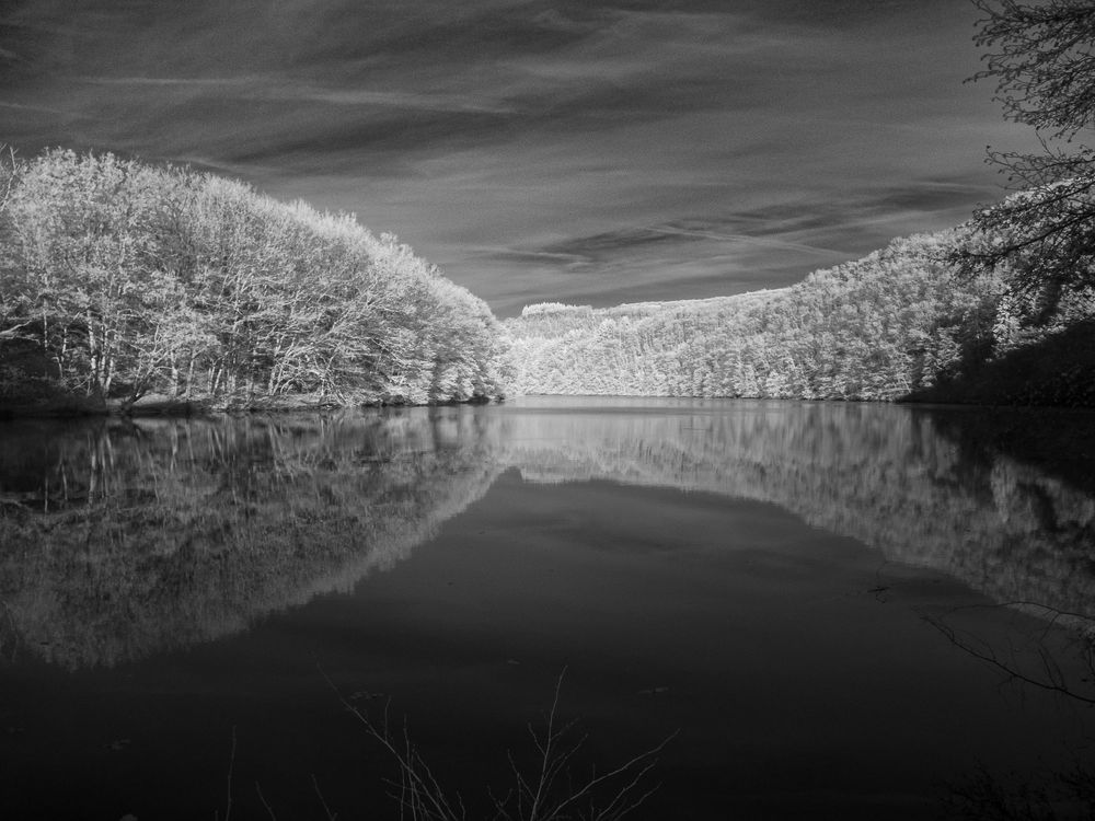 Black and white infrared landscape with white trees perfectly mirrored in a still lake under cloudy skies.