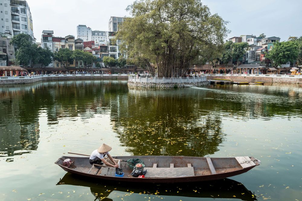 Person rowing a wooden boat on a calm green lake surrounded by lush trees and urban buildings in Hanoi, Vietnam.