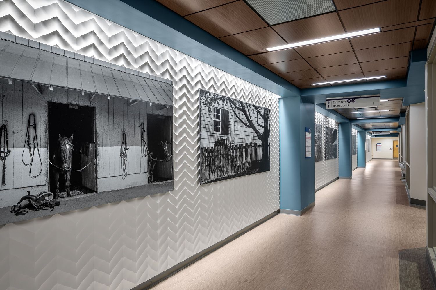 Neil Asher Healthcare Photography