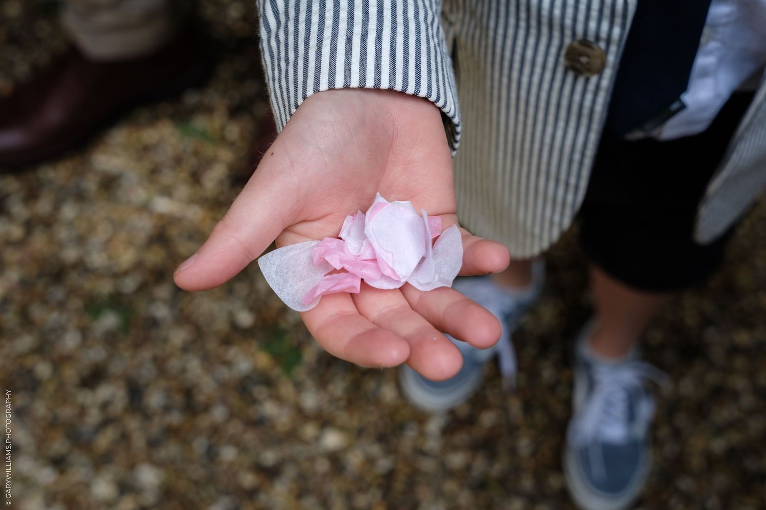 Child's open palm holding a delicate pink cherry blossom petal outdoors.