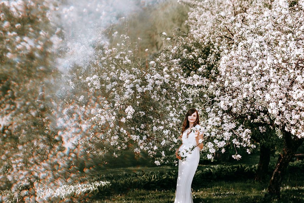 Woman in white dress standing among blooming white flowering trees in a sunlit orchard during spring.