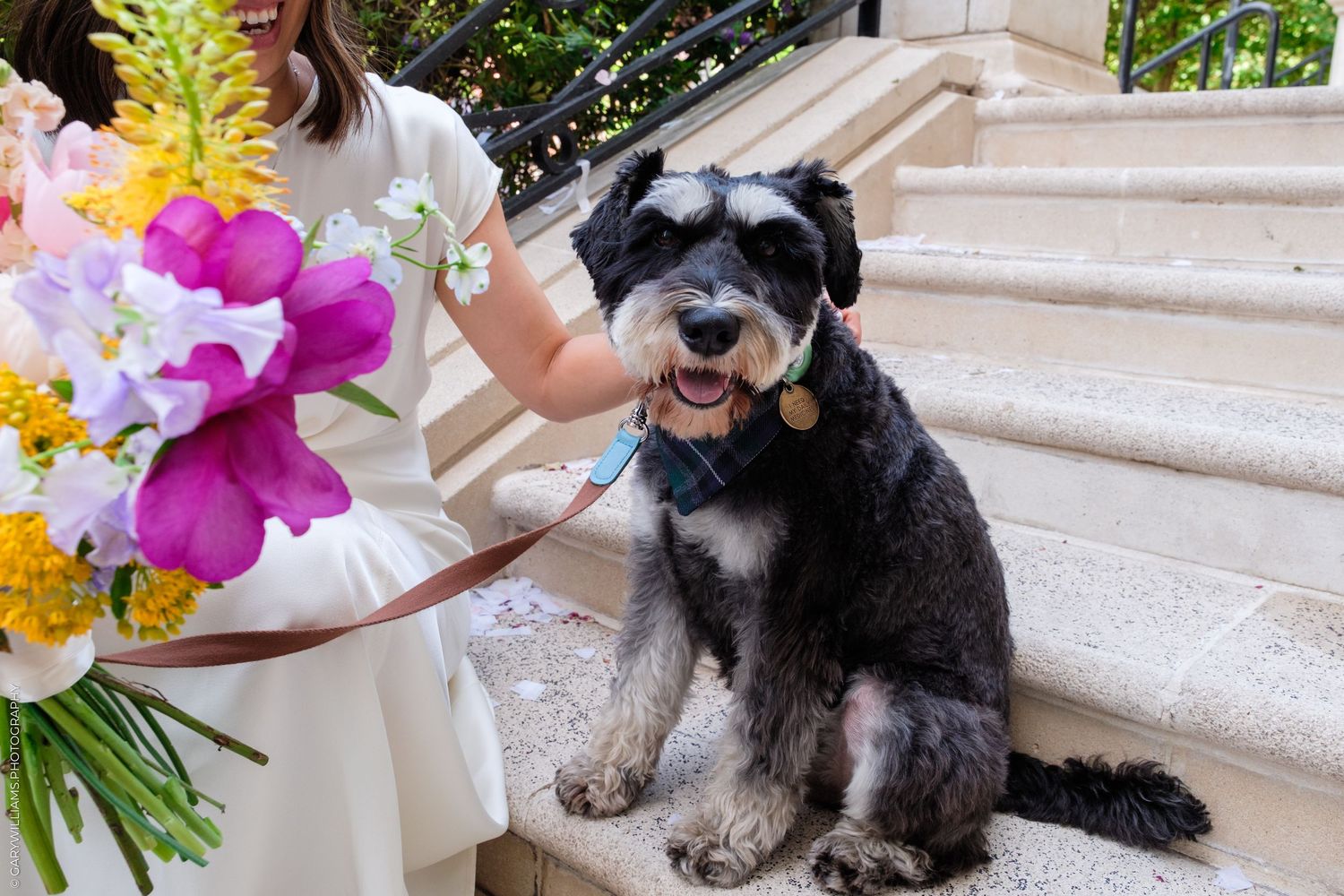 A happy schnauzer dog sits on stone steps beside a bride holding a colorful floral bouquet with pink and yellow flowers.