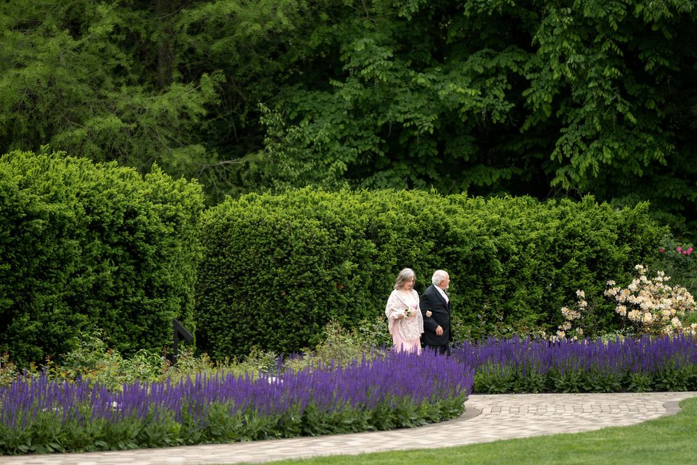 Two elegantly dressed women stroll along a garden path bordered by vibrant purple lavender flowers and green hedges.