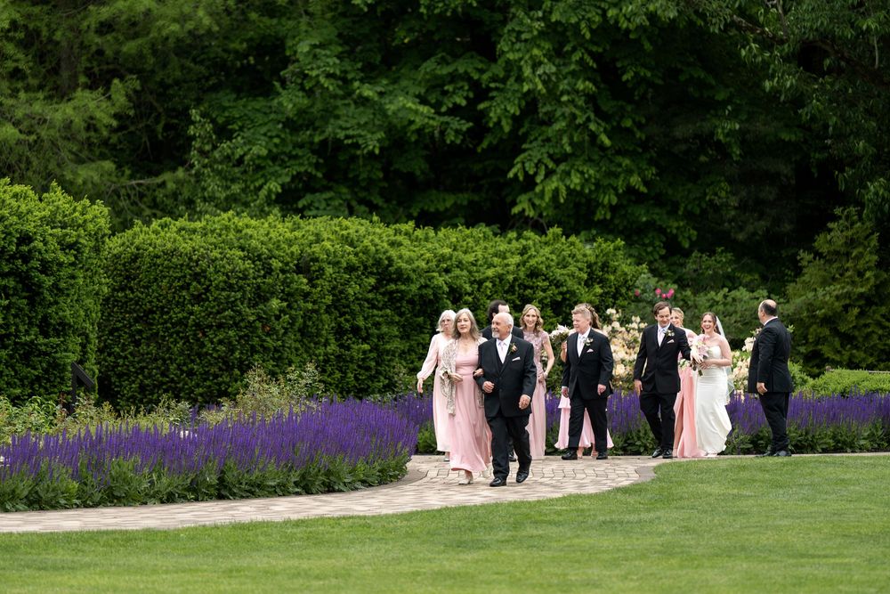 Wedding party walks along a stone garden path surrounded by purple lavender blooms and tall green hedges.