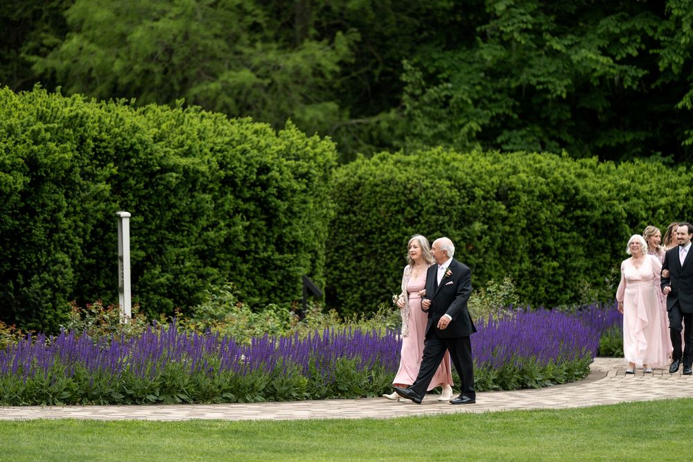 Elegantly dressed couple walks along garden path lined with purple lavender flowers at wedding.