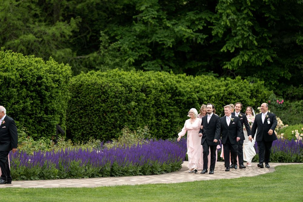 Wedding party and guests stroll along curved garden path with vibrant purple flowers and hedges.