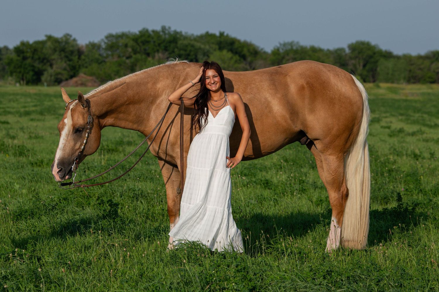 Horse and rider posing in lush green field during golden hour.