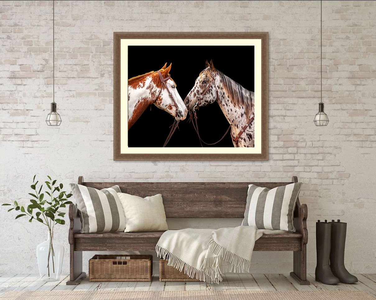 A framed print artwork of two horses facing each other against a black background. Massachusetts
