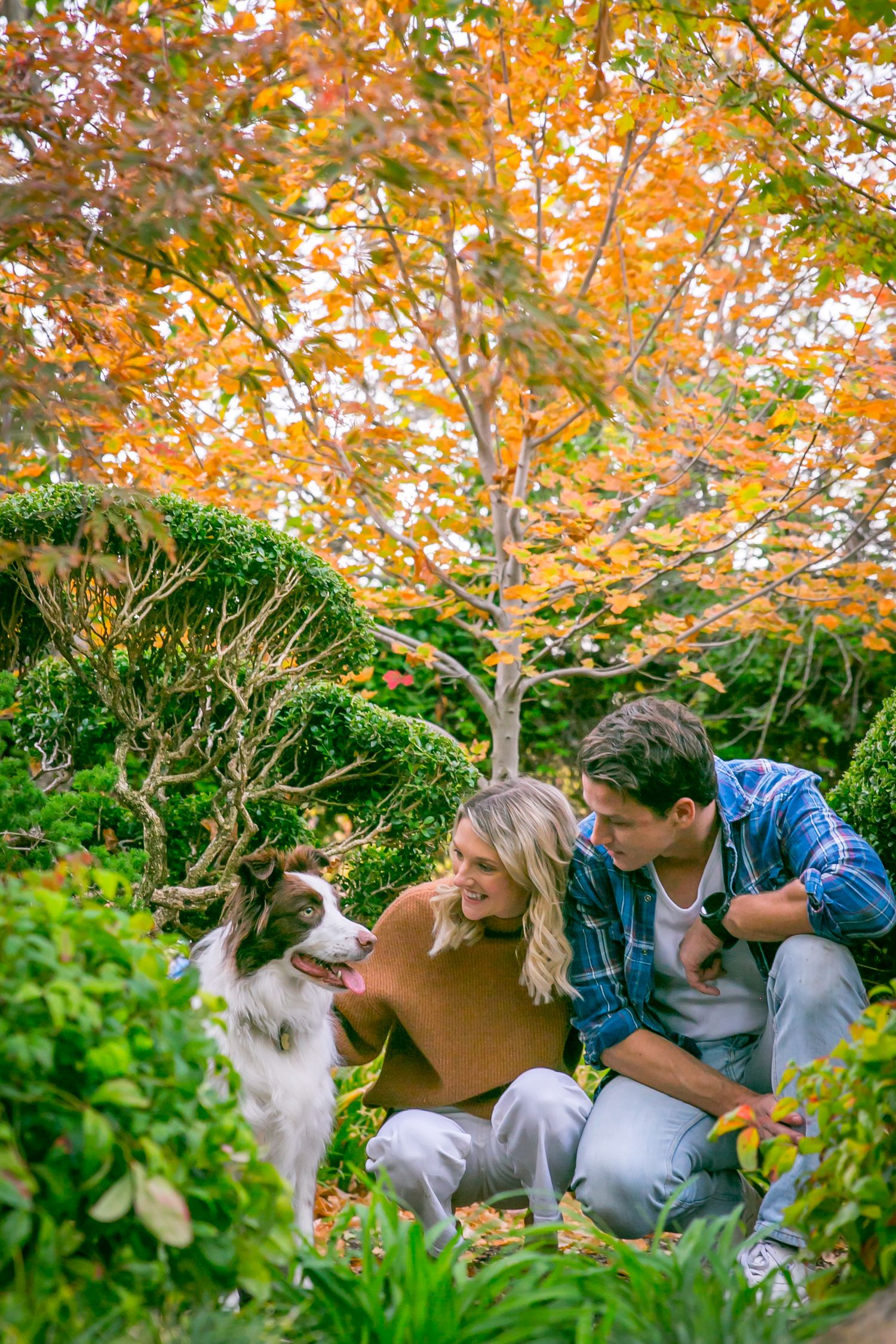 Adelaide Dog and Couple Photography
