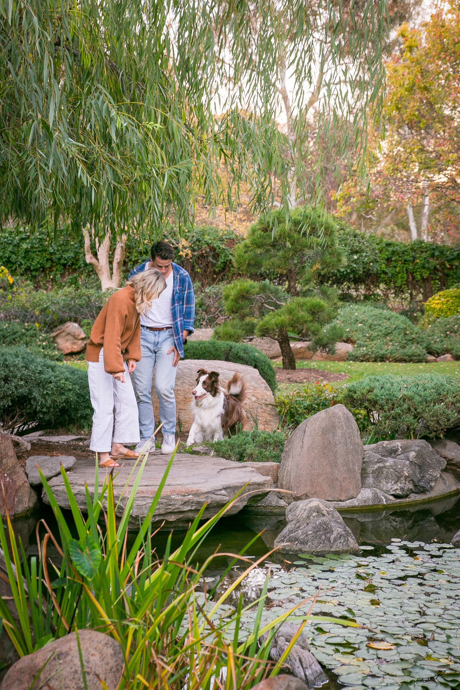 Adelaide Dog and Couple Photography