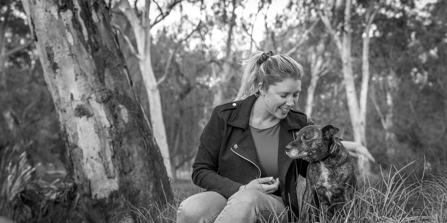 Dog Photographer Adelaide